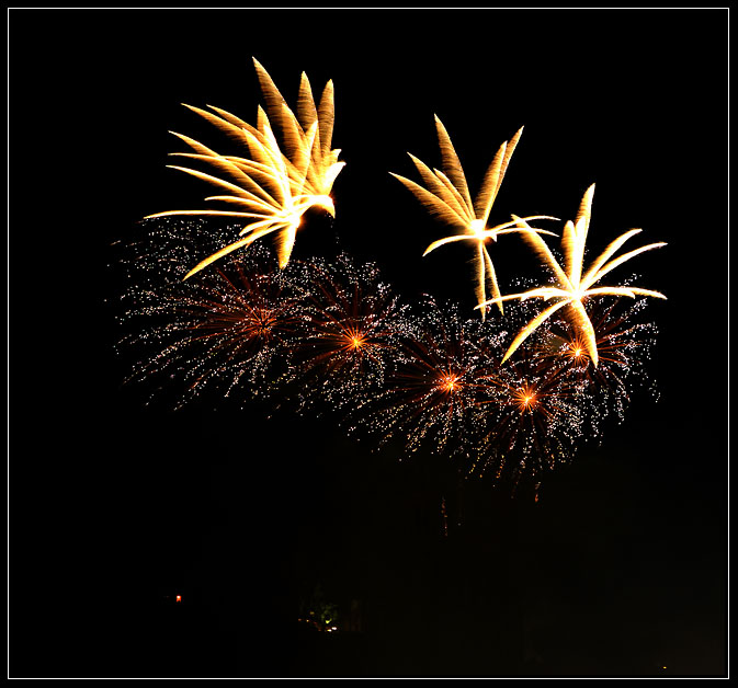 14 juillet Lyon 08 (2)